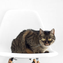 Exclusive Modern Chair Offer